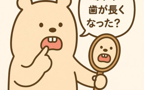 歯が長くなってきたかも！？