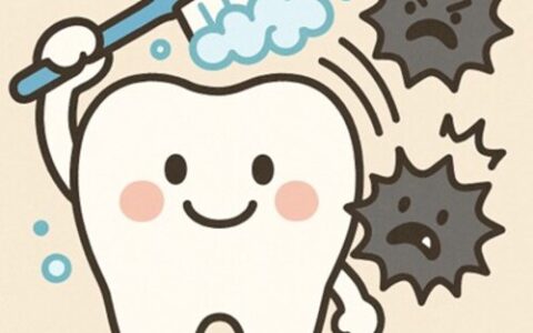 歯みがき1本が虫歯予防のカギ！